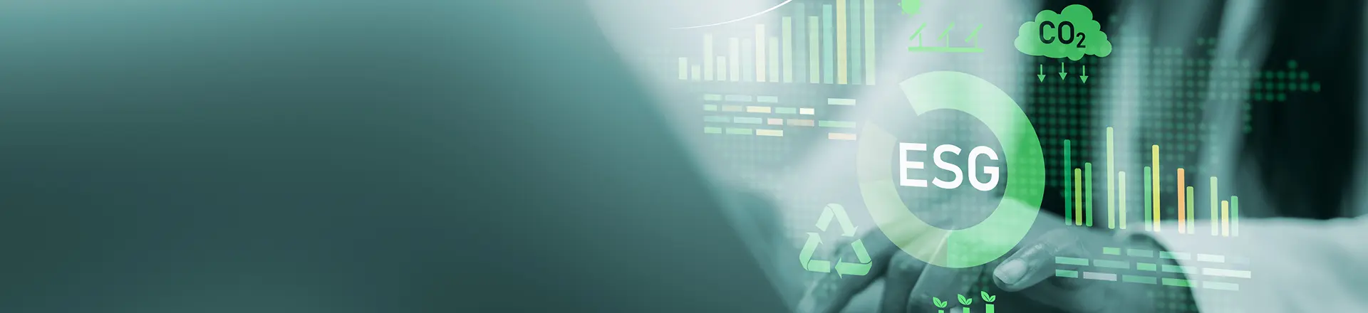 ESG & Sustainability Consulting Services