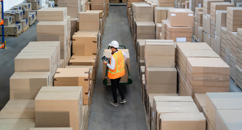 Oracle ERP data recovery, invoice recovery, FBDI, SQL Developer, Oracle financial compliance, and business continuity